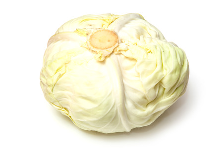 Japanese style flat white cabbage isolated on a white studio background,の写真素材