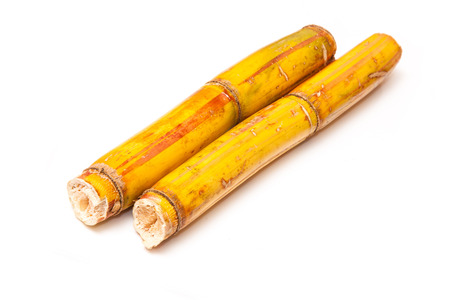 Fresh sugarcane isolated on a white studio background.の写真素材
