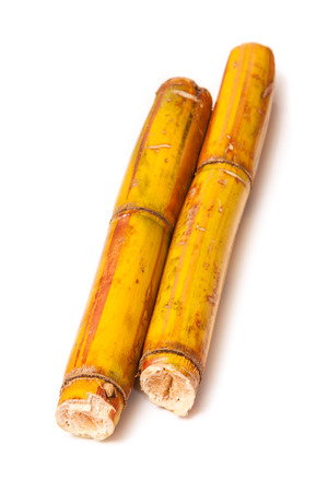 Fresh sugarcane isolated on a white studio background.の写真素材