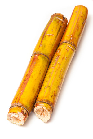 Fresh sugarcane isolated on a white studio background.の写真素材