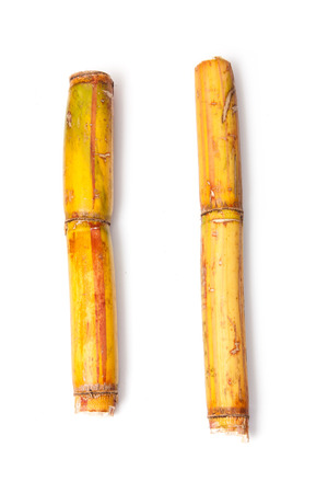 Fresh sugarcane isolated on a white studio background.の写真素材