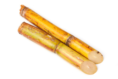 Fresh sugar cane isolated on a white studio background.の写真素材