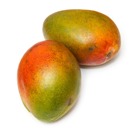 Fresh mangoes isolated on a white studio background.の写真素材