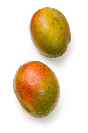 Fresh mangoes isolated on a white studio background.の写真素材
