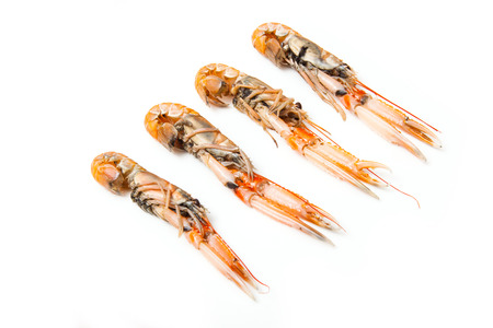 Langoustine  (Nephrops norvegicus),Dublin Bay Prawn or Norway Lobster ioslated on a white studio background.の写真素材