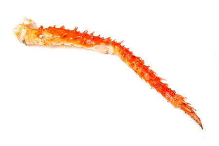 Cooked Peruvian Southern King crab leg (Lithodes Santolla ) isolated on a white studio background.の写真素材