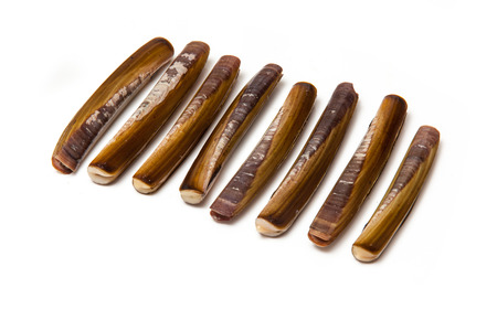 Raw Razor Clams isolated on a white studio background.の写真素材