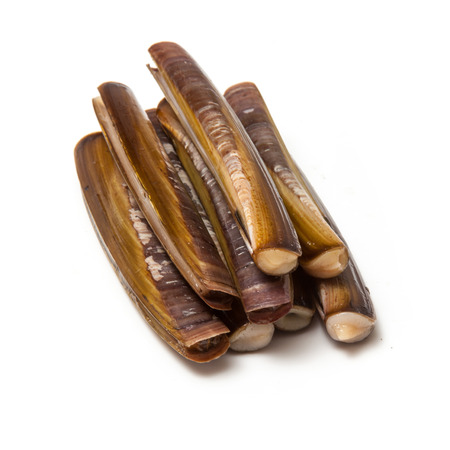 Raw Razor Clams isolated on a white studio background.の写真素材