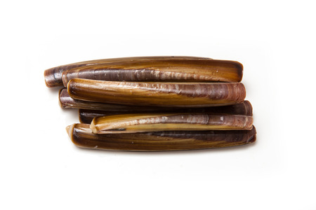 Raw Razor Clams isolated on a white studio background.の写真素材