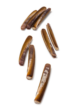 Raw Razor Clams isolated on a white studio background.の写真素材