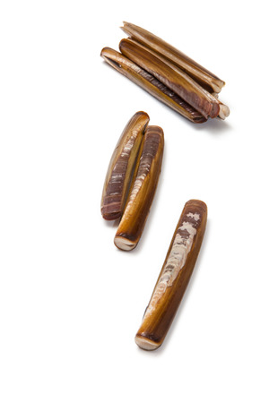 Raw Razor Clams isolated on a white studio background.の写真素材