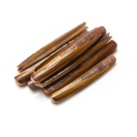 Raw Razor Clams isolated on a white studio background.の写真素材