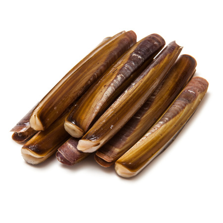 Raw Razor Clams isolated on a white studio background.の写真素材
