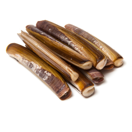 Raw Razor Clams isolated on a white studio background.の写真素材