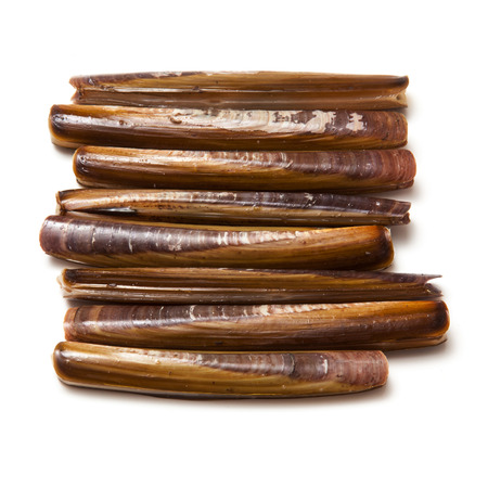 Raw Razor Clams isolated on a white studio background.の写真素材