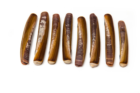 Raw Razor Clams isolated on a white studio background.の写真素材