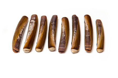 Raw Razor Clams isolated on a white studio background.の写真素材