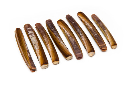 Raw Razor Clams isolated on a white studio background.の写真素材