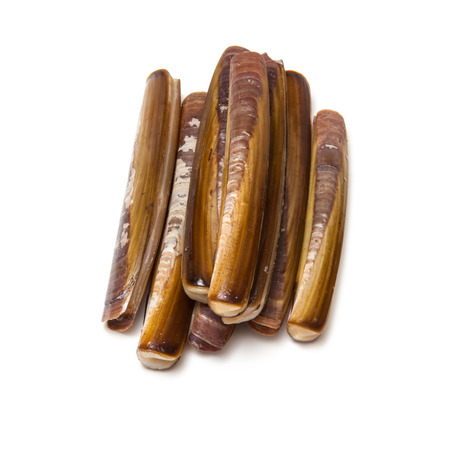 Raw Razor Clams isolated on a white studio background.の写真素材