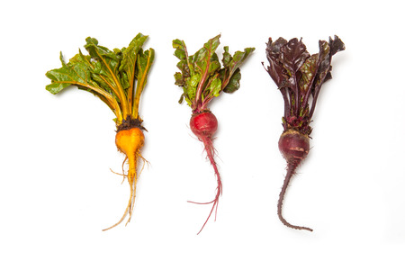 Yellow pink and traditional purple Beetroot isolated on a white studio background.の写真素材