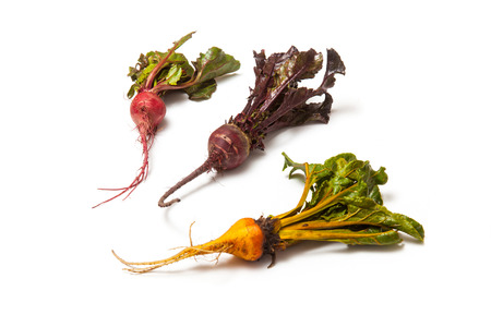 Yellow pink and traditional purple Beetroot isolated on a white studio background.