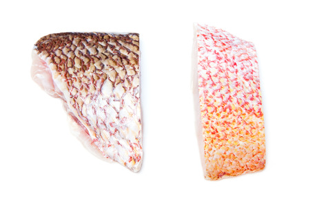 Raw Red Snapper fish fillets isolated on a white studio background.の写真素材