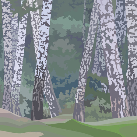 Cartoon painted background of a birch forestのイラスト素材