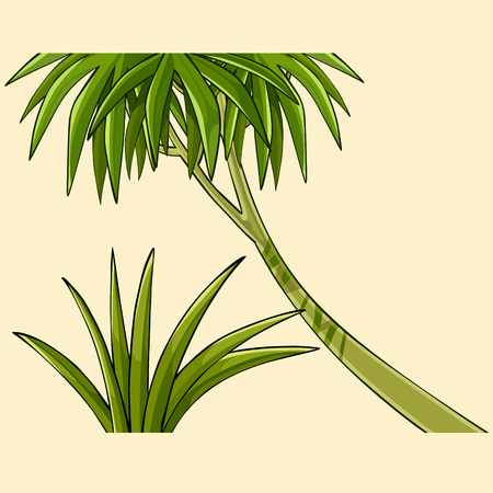 Cartoon tropical tree and bush of grass illustration.のイラスト素材