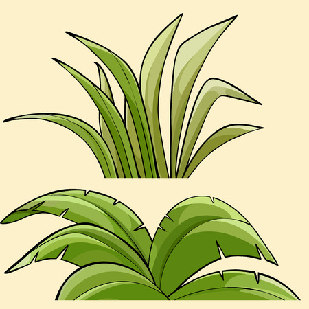 Two different green tropical plants bushesのイラスト素材