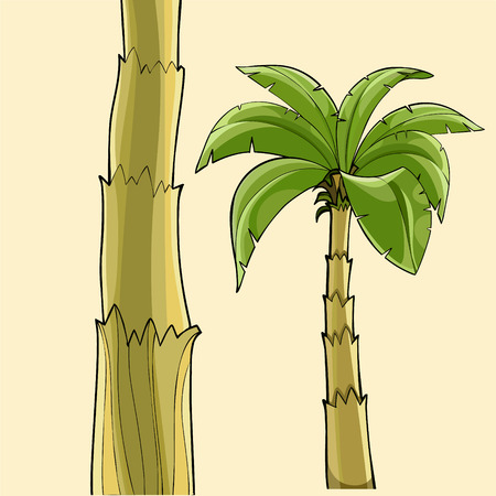 Cartoon banana palm tree without fruit and tree trunk.のイラスト素材