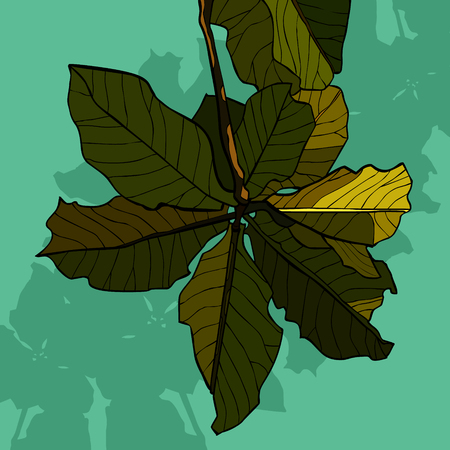 painted inflorescence of green leaves of treeのイラスト素材