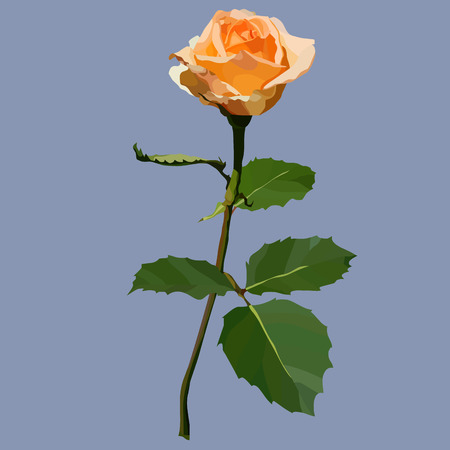 flower painted rose of peach color on the stem with leaves on the gray backgroundのイラスト素材
