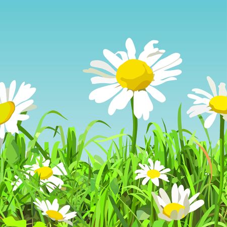 summer background of cartoonish green glade with daisy flowersのイラスト素材