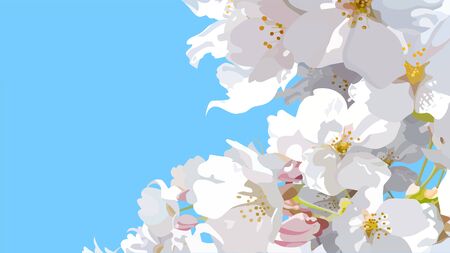 spring background with white flowers on sky backgroundのイラスト素材