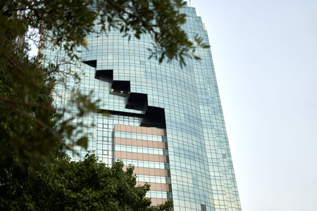 Tree and part of the facade of a modern skyscraper in Bangkok