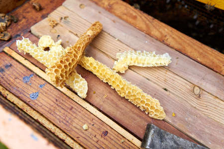 Pieces of bee hives on a wood surfaceの写真素材