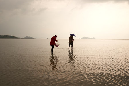 Ko Phangan, Thailand, March 15, 2022: silhouette of two women collecting clamsのeditorial素材