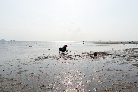 Ko Phangan, Thailand, March 15, 2022: old woman looking for clams on the seaのeditorial素材