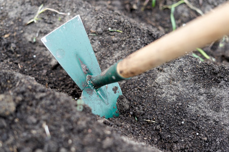 Detail of a hoe digging the soil of a vegetable gardenの写真素材