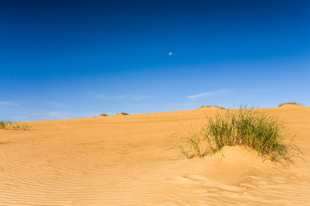 Photo presents sandy dune with visible green plants , in background blue cloudless sky の写真素材