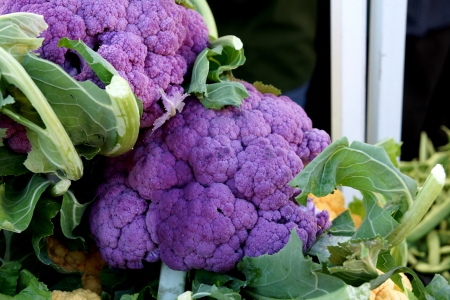 Graffiti cauliflower, Brassica oleracea var  botryoides, cultivar with purple heads, a rich source of anthocyanins の写真素材
