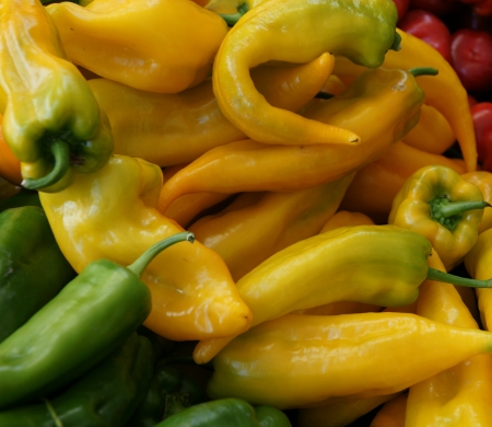 Corno di toro, Capsicum annuum, sweet stuffing pepper often more than 20 cm long, turning yellow and then red when ripe, eaten fresh, stuffed or roasted の写真素材