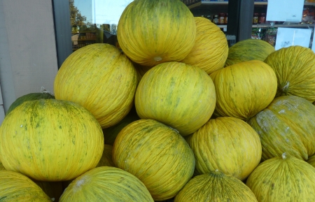 Casaba melon, Cucumis melo var  inodorous, a large sized melon with yellow wrinkled skin and white flesh, without flavor の写真素材
