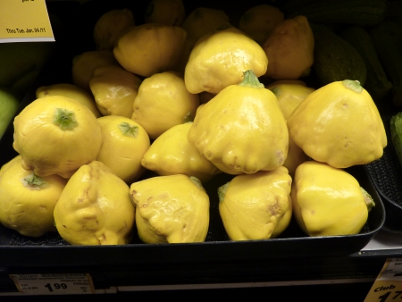 Sunburst yellow squash also known as yellow pattypan squash produces small summer squashes, rounded to depressed, with scalloped edges, somewhat resembling a top or flying saucer, 5-7 cm in diameter  The skin is orange-yellow in colour and flesh white の写真素材