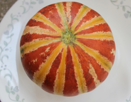 Cucumis melo var cantalupensis, H ogen, cantaloupe with yellow, orange to finally brown skin with broad green stripes  The flesh is light greenish-white, sweet and juicy  Used as table fruit の写真素材