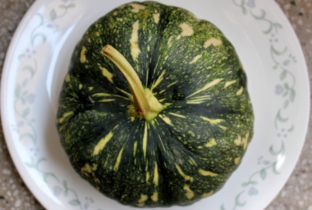 Cucurbita moschata, commonly sold in Indian markets under the name kadu, petha or sita phal  young fruit green with yellowish-white patches  Flesh initially light yellow turning orange yellow when ripe  Commonly cooked as vegetable  の写真素材