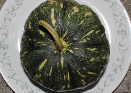 Cucurbita moschata, commonly sold in Indian markets under the name kadu, petha or sita phal  young fruit green with yellowish-white patches  Flesh initially light yellow turning orange yellow when ripe  Commonly cooked as vegetable  の写真素材