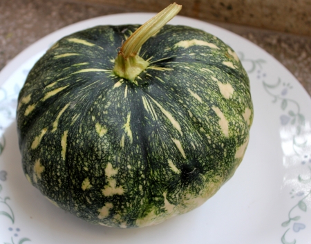 Cucurbita moschata, commonly sold in Indian markets under the name kadu, petha or sita phal  young fruit green with yellowish-white patches  Flesh initially light yellow turning orange yellow when ripe  Commonly cooked as vegetable  の写真素材