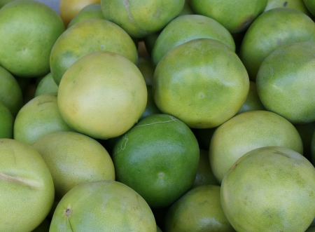 Pomelo, shaddok, Citrus maxima  syn  Citrus grandis, Citrus decumana,tree with yellow to orange fruits, large often up to 16 cm in size, globose, grown as ornamental or dessert fruit の写真素材