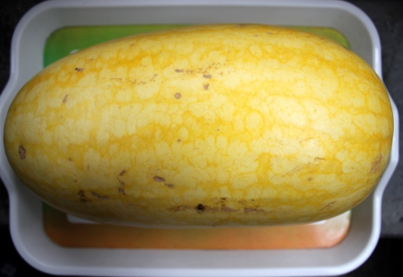 yellow-skinned watermelon Vishal, Citrullus lanatus, oblong shaped watermelon with yellow skin mottled with irregular orange stripes  The flesh is red, crisp and sweet の写真素材
